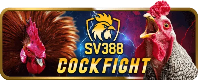 Cá cược có trách nhiệm ku3936 win